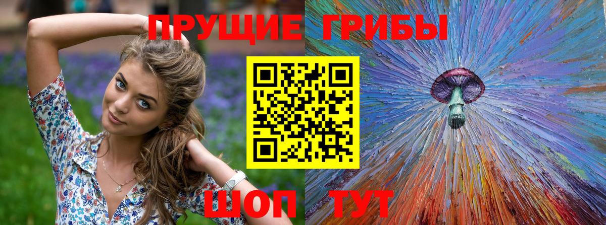 Псилоцибиновые грибы мицелий  Вход с VPN  Кемерово 