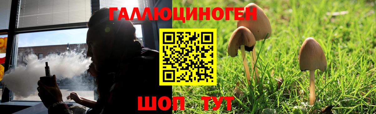 Галлюциногенные грибы MAGIC MUSHROOMS Кемерово